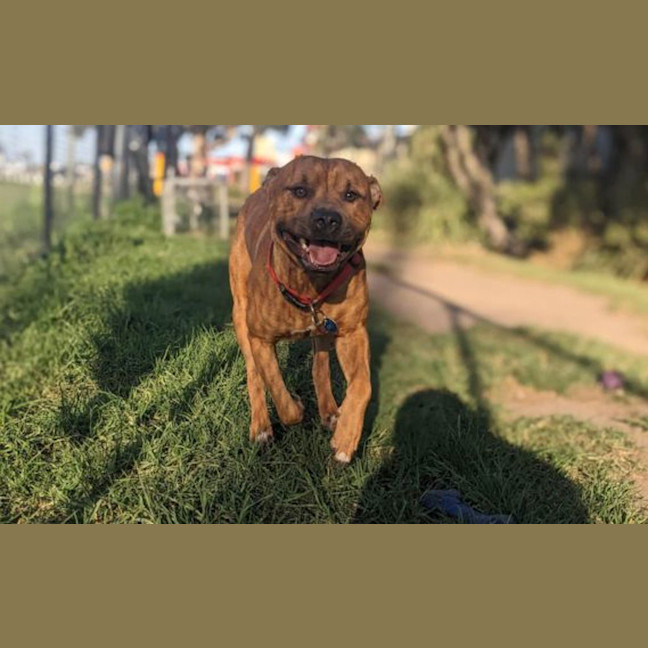 Photo of Zephyr
