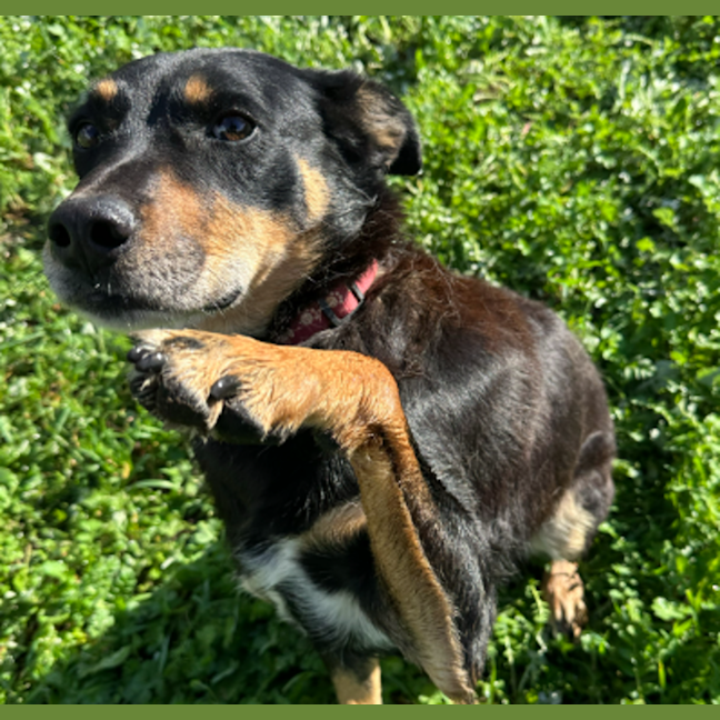 Photo of Coda