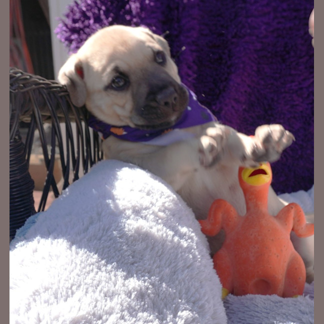 Photo of Vinnie