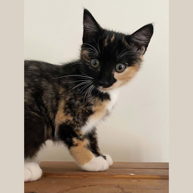 Photo of Lucille 