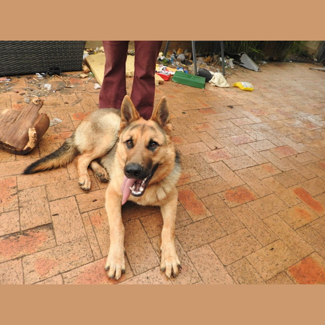 Photo of Odin