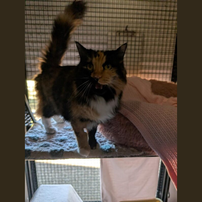 Photo of Buffy