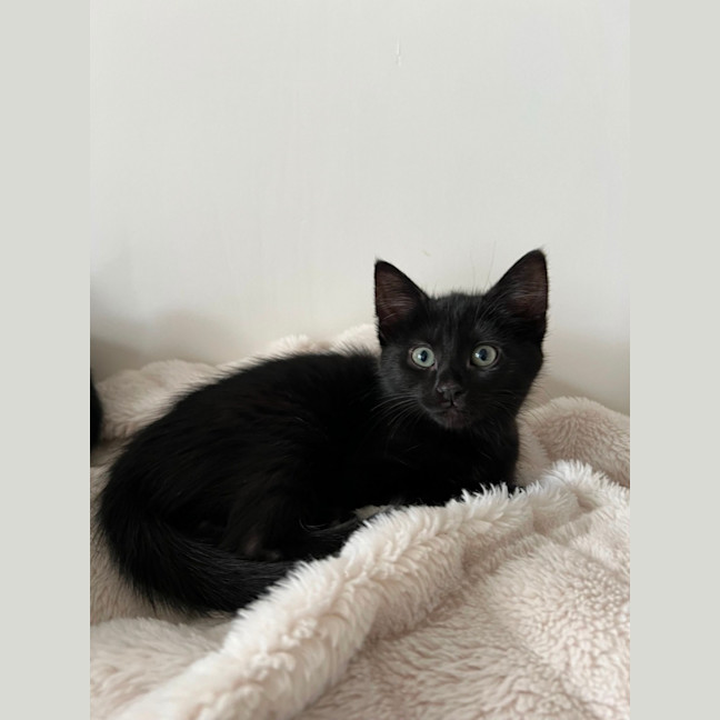Photo of Ellie