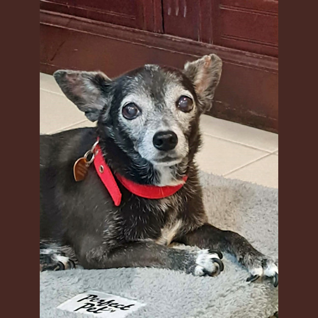 Photo of Minnie