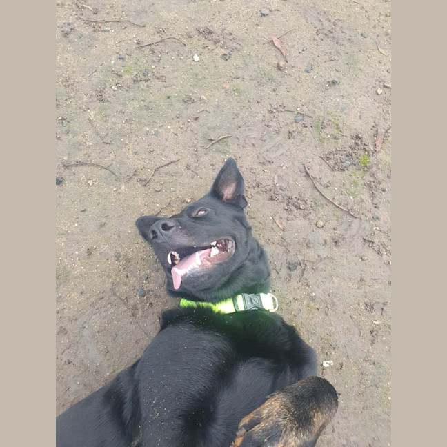 Photo of Jasper