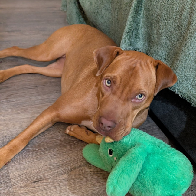 Photo of Tess