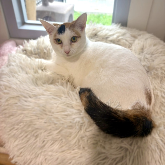 Photo of Lilly