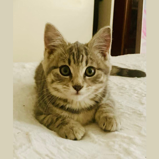 Photo of Eddie & Dot