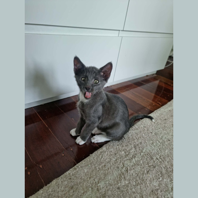 Photo of Beskar