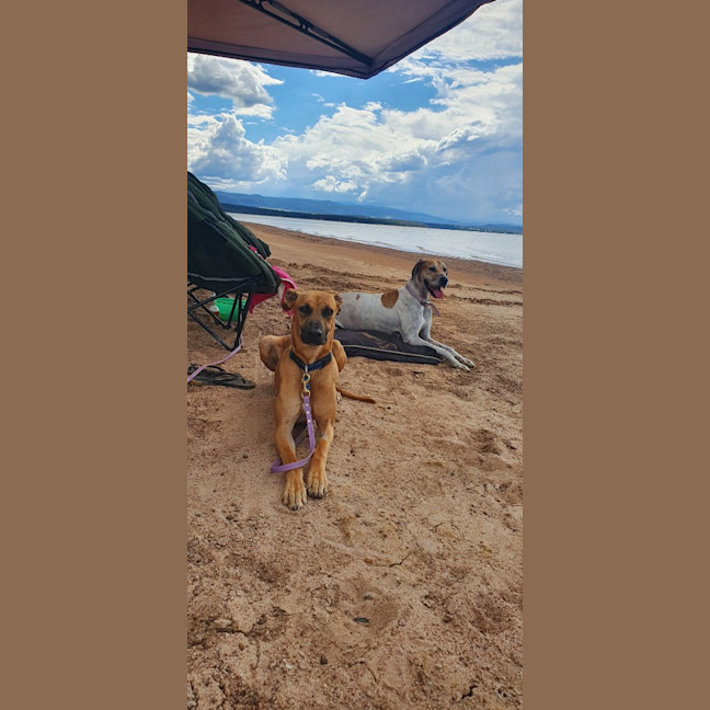 Photo of Gus