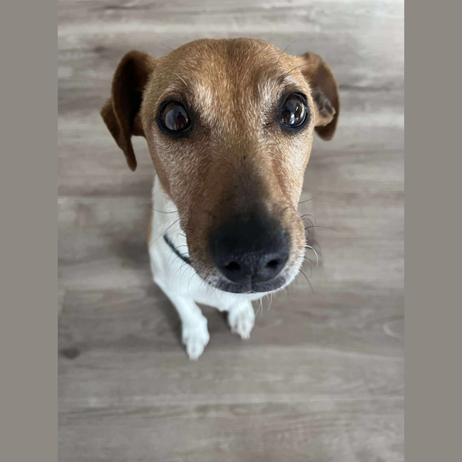 Photo of Ted