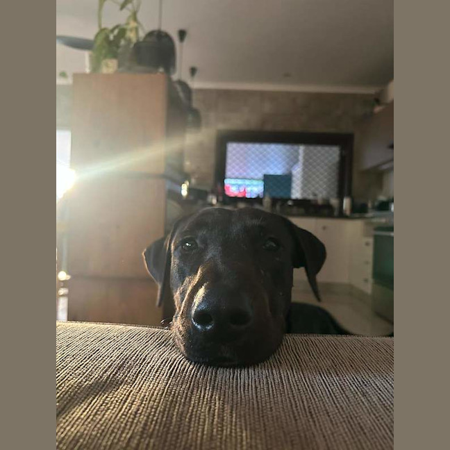 Photo of Sam
