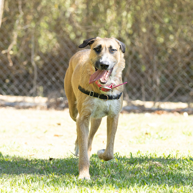 Photo of Hugo