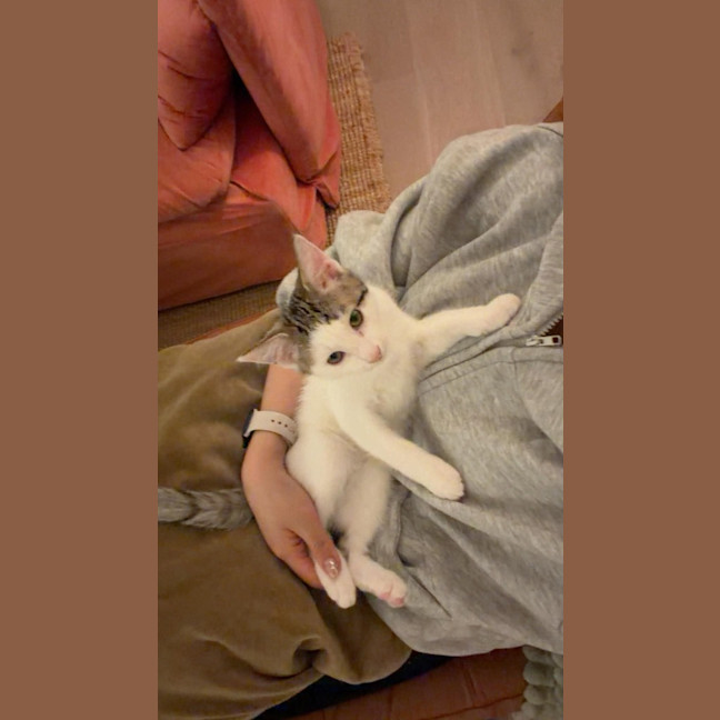 Photo of Cosmo