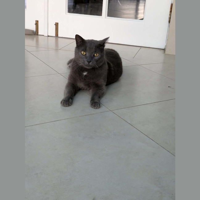 Photo of Teddy