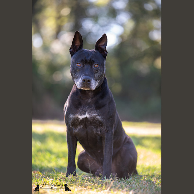 Photo of Diego