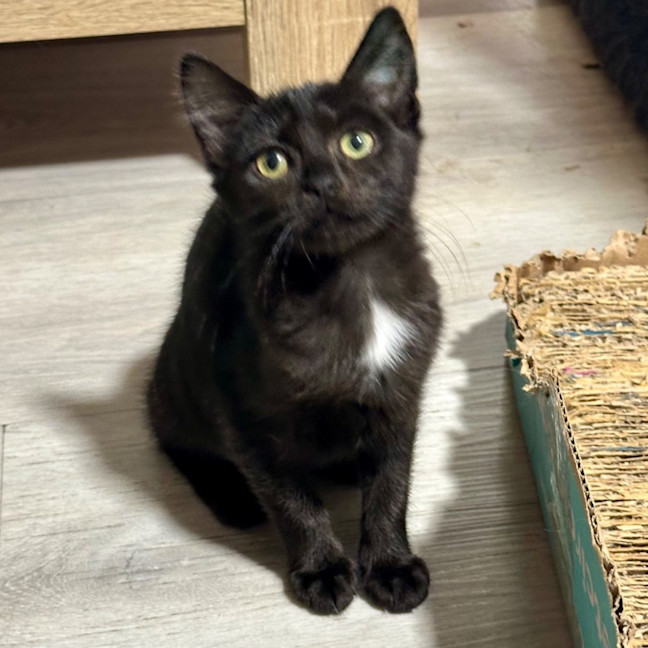 Photo of Dolly