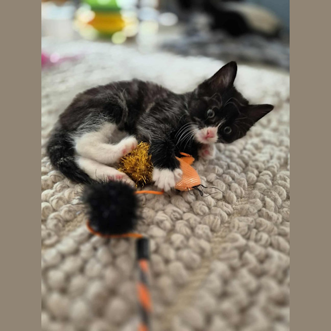 Photo of Mabel