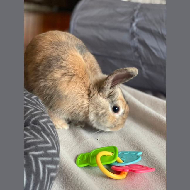Photo of Monty