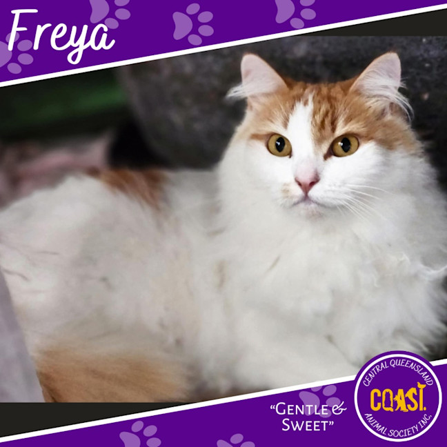 Photo of Freya