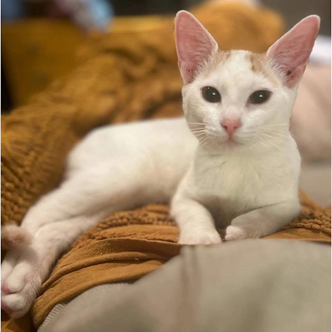 Photo of 11751   Elizabeth