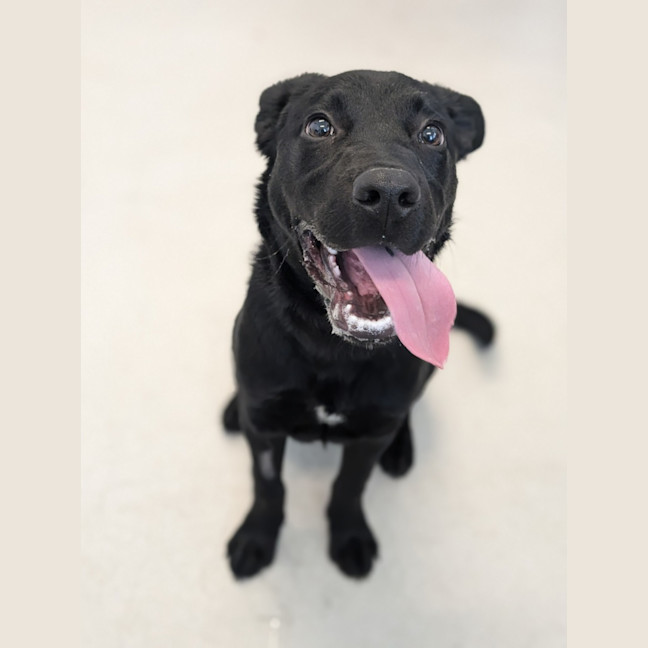 Photo of 🛴 Enzo 5574 🛴