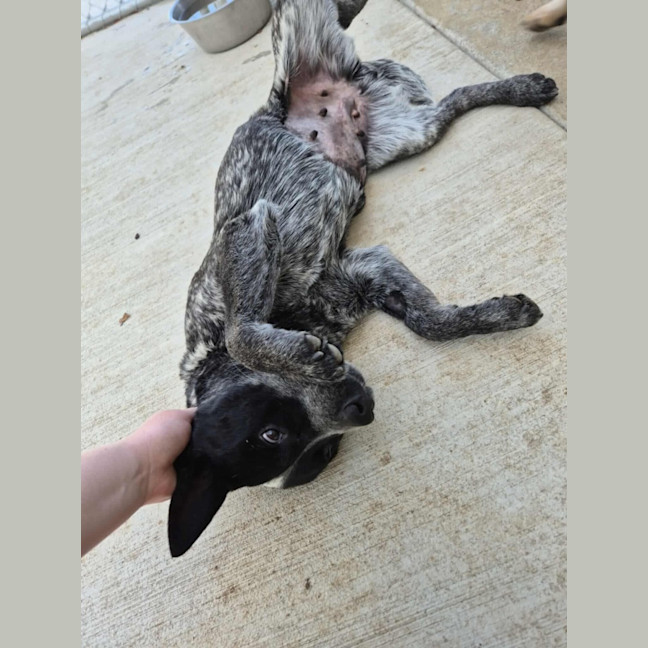 Photo of Snowy! ❄️