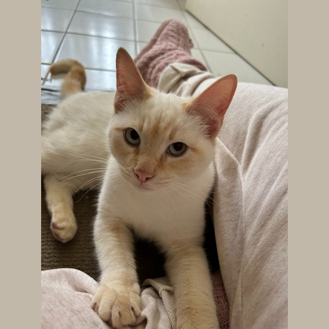 Photo of Otis