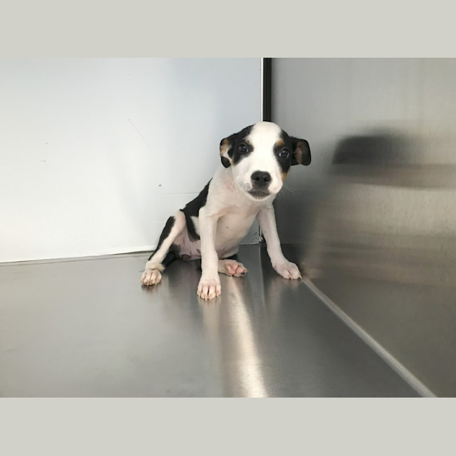 Photo of Esmae (P14)