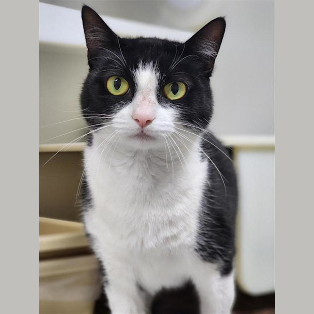 Photo of 🧸 Sora 6923 🧸