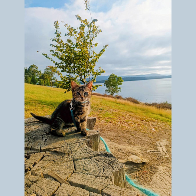 Photo of Holly Bloom