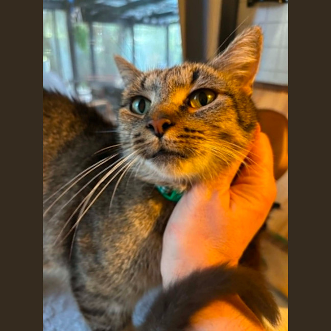 Photo of  🤟 Yuna 🤟
