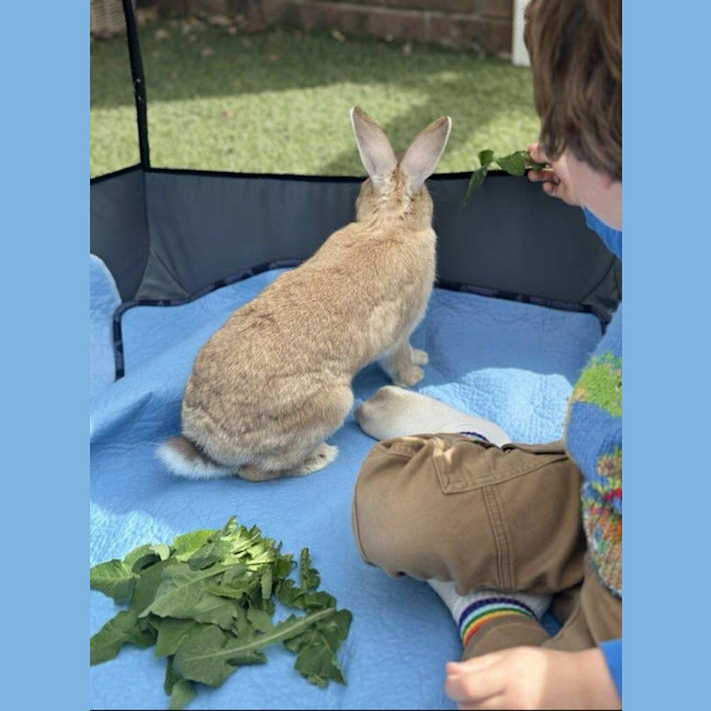 Photo of Stella & Thumper