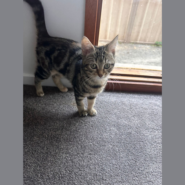 Photo of Delilah