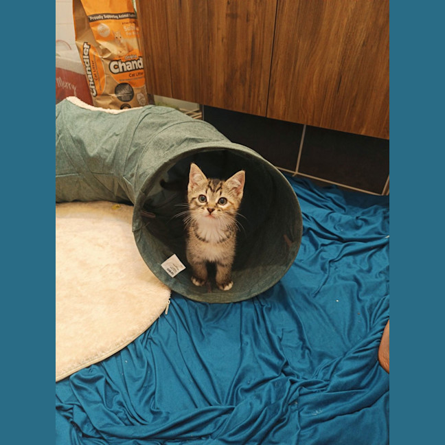 Photo of Winnie