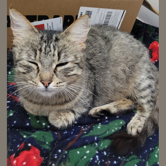 Photo of 💗 Billy Jo 💗