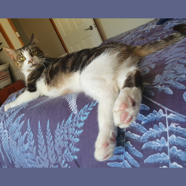 Photo of Boots
