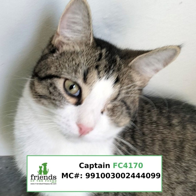 Photo of Jac Jac & Captain