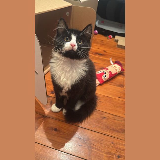 Photo of Olaf