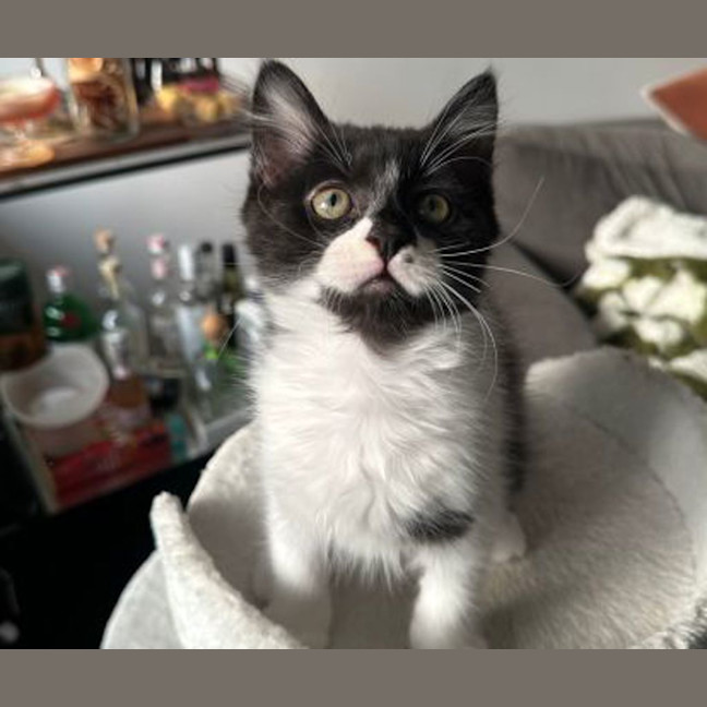 Photo of Angel