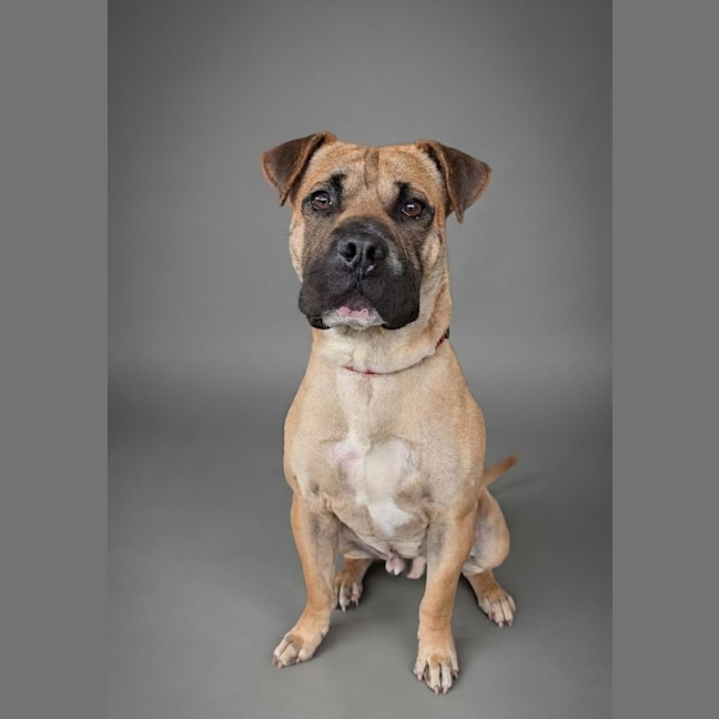 Photo of Fireman Sam