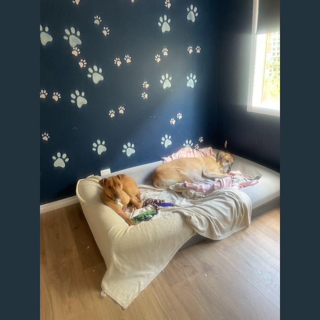 Photo of Peaches