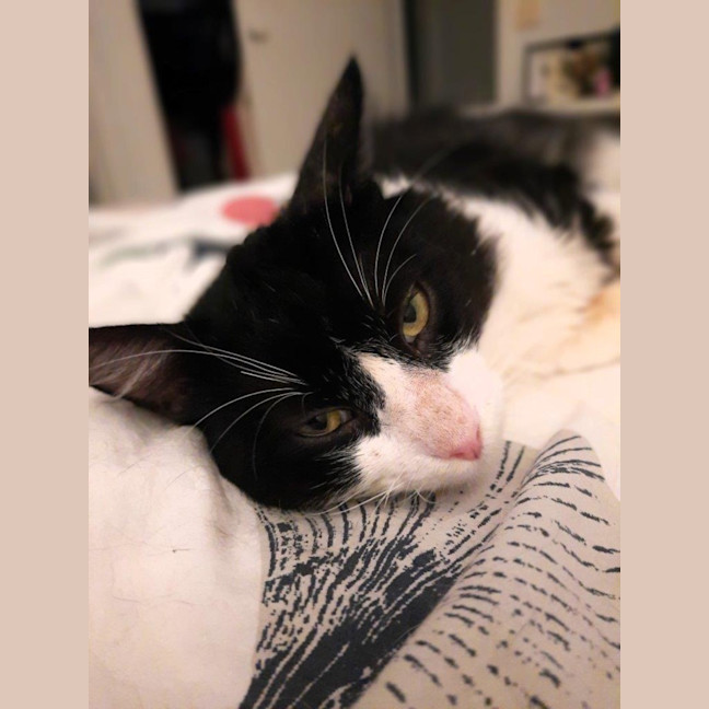 Photo of Dudley Kumara