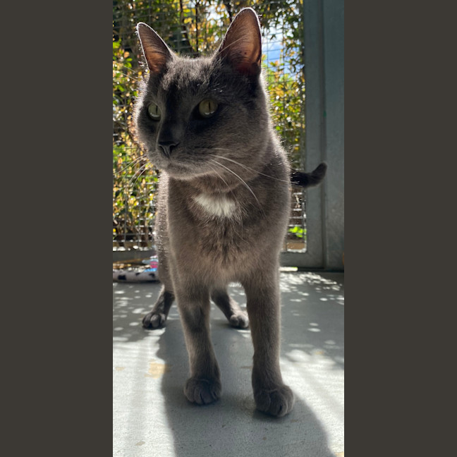 Photo of Nora