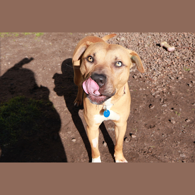 Photo of Churro