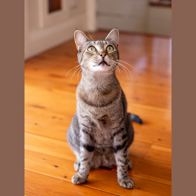 Photo of Missy