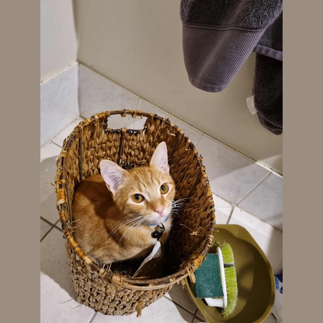 Photo of Howie