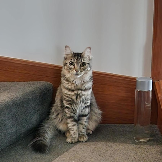 Photo of Sophie