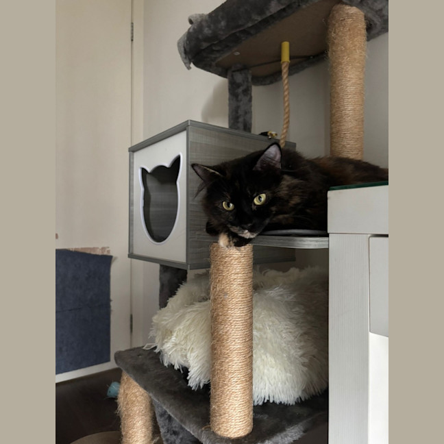 Photo of Hazel