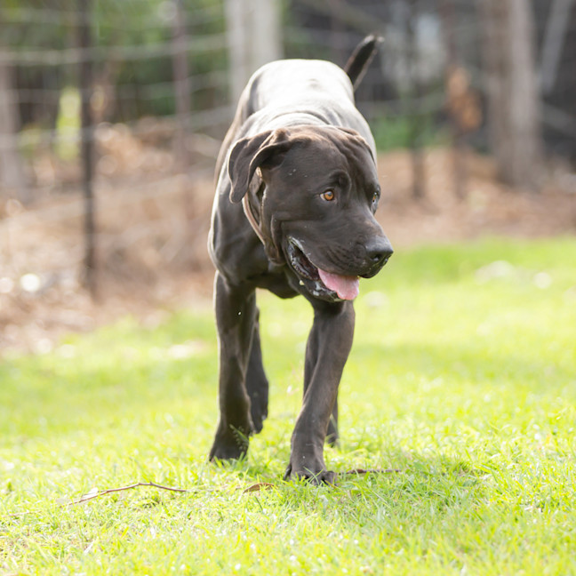 Photo of Jett